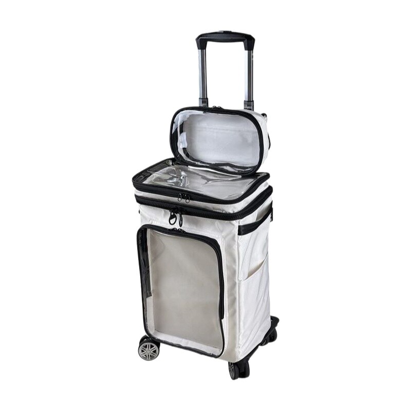Spinner Wheel Rolling Suitcase 20 Inch - Harajuku stijl cartoon transparante bagage 20